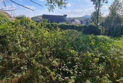 Casa individuala cu 3 camere,CODLEA - DUMBRAVITA ,65000 euro - 9