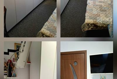 Apartament cu 3 camere decomandat în Lipovei
