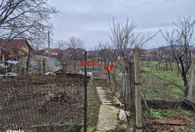 Casă cu 5 camere cu Teren 1651 Mp în Bărăbanț - 7