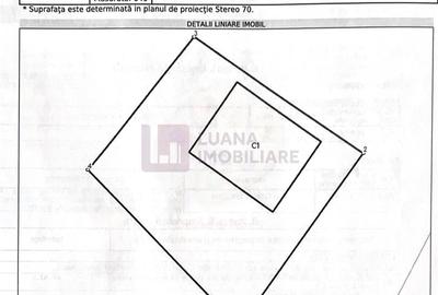 Afacere la cheie | Pensiune de 3 margarete | Paltinis | video - 13