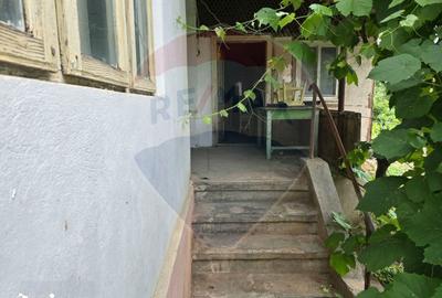 Casă cu 3 camere cu Teren 5000 Mp în Central - 12