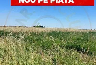 Teren intravilan 8.973 mp Loc. Albota -RESTAURANT LUXOR Arges