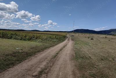 Teren de 10800 mp, în Central - 5