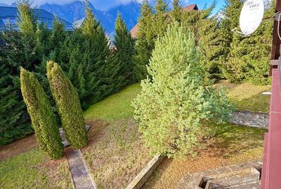 Casă cu 8 camere cu Teren 3389 Mp în Piatra Arsă - 3