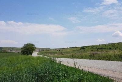 Teren Intravilan, zona de PUZ, cartier Sopor - 4