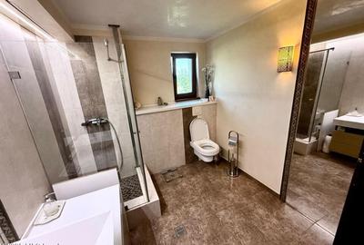 Casa Mogosoaia cu livada, crama si terasa - 19