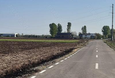 Teren de 4850 mp, în Dobreni - 3