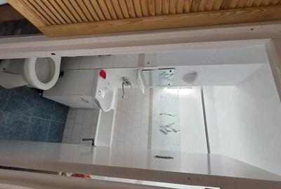 Apartament cu 3 camere decomandat în Central - 5
