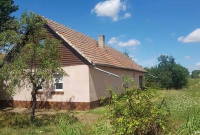 Casa locuibila de vanzare in Mailat - 1