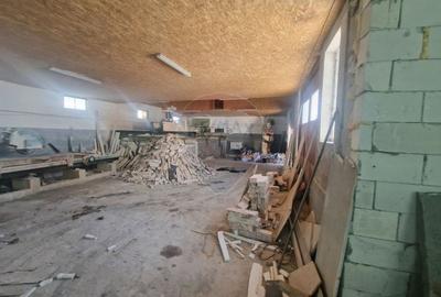 Spațiu industrial, de 290 mp, în Almaș - 11