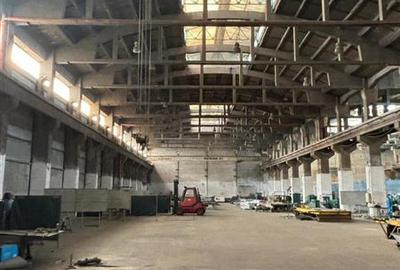 Spațiu industrial, de 17,500 mp, în Zona Liberă - 4