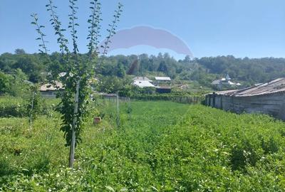 Casa noua de vanzare in Podoleni Neamt - 3