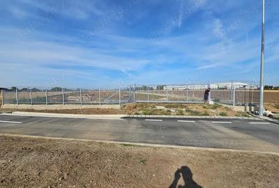 Spațiu comercial, în Brănești - 3