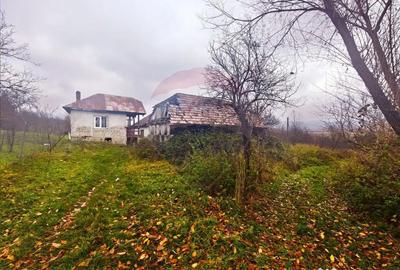 Teren de 4627 mp, în Unguraș - 3
