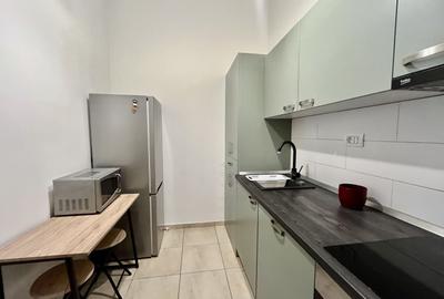 Apartament cu aer nobiliar,  clădire istorică,  zona Unirii - Medicina - 9