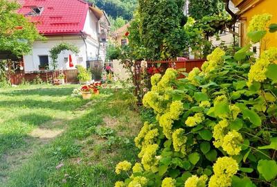 3D! Locatie decomandata,cu gradina, rezidential/activitate profesionala, Central - 1