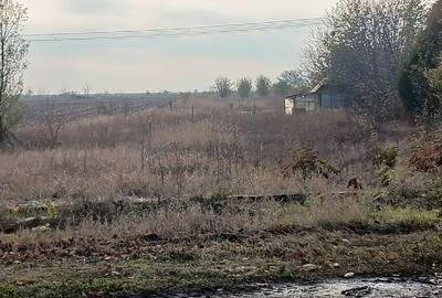 Oltenitei -   Frumusani -Vanzare teren  intravilan - 3