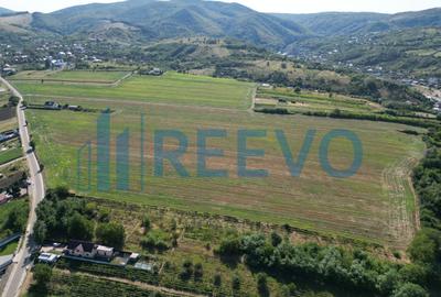Teren Construcții intravilan de 7366 mp, în Sărata (Sărata) - 9