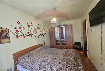 Apartament in Cotu mic - 1