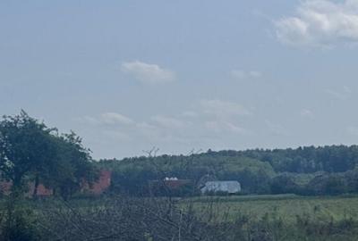 Teren generos, intravilan, 13.518 mp, Marginea - 5