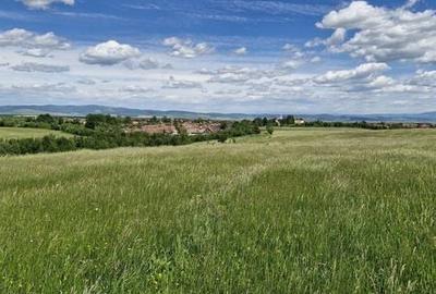 Teren de 14900 mp, în Crizbav - 4