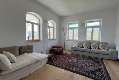 Casă individuală cu 10 camere cu Canalizare în Arefu - 13