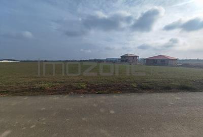 Teren Construcții intravilan de 31200 mp, în Dragomirești-Deal - 1