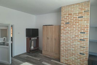Apartament cu 2 camere decomandat în Drumul Carului - 8