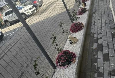 Apartament 2 camere - 8