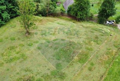 Teren de 6865 mp, în Voroneț - 12