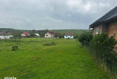 Teren de 1000 mp, în Șura Mică - 3