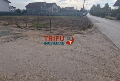 Teren cu o suprafață de 1093 mp, poziționat în zona Cetate, - 7