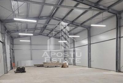 Spațiu industrial, de 590 mp, în Giarmata - 2