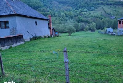 Spațiu comercial, în Bârsana - 1