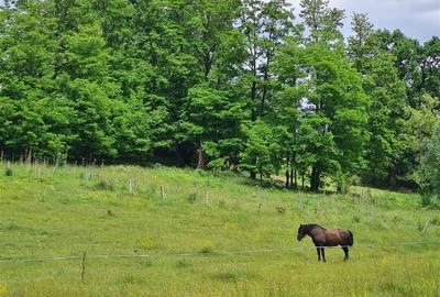 Teren intravilan de 25000 mp, în Exterior Est - 14