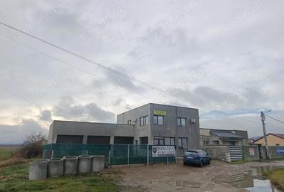 Spatiu comercial de inchiriat - 5