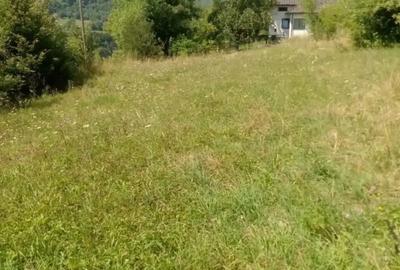 Teren de 6800 mp, în Moisei - 3