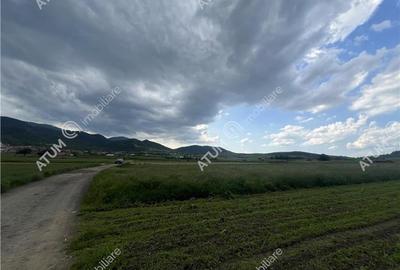 Teren intravilan de 3477 mp cu deschidere de 35 m in Boita - 3