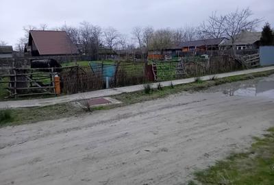 Spațiu comercial, în Sfântu Gheorghe - 4