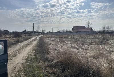 Spațiu comercial, în Bradu - 10