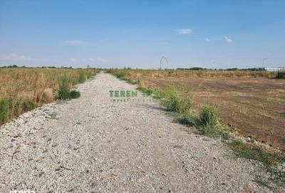 Teren de 540 mp, în Frumușani - 9