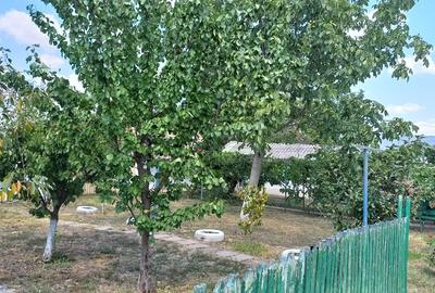 Casă individuală cu 4 camere cu Canalizare în Munteni-Buzău - 9