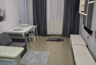 Garsoniera zona Grozavesti 7 minute de metrou - 2