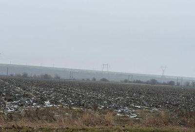 Teren de 30000 mp, în Săucești - 3