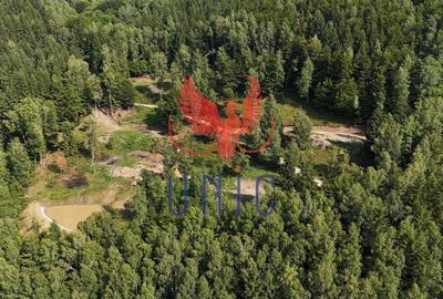 18000 mp de natura pura ,Lupeni, langa Straja 18000 mp de natura pura ,Lupeni, langa Straja - 8