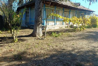 Oaza de liniste: Proprietate generoasa cu poten?ial de Investi?ie Locuin?a - 1