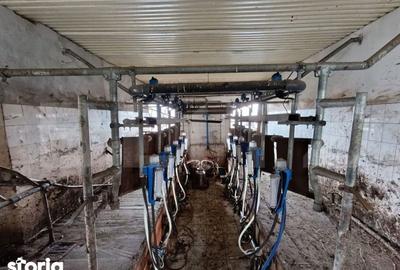 Spațiu comercial, de 6,600 mp, în Valea Lungă - 7