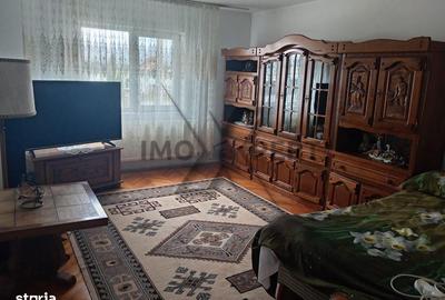 Casă cu 8 camere cu Canalizare în Mihai Viteazu - 5