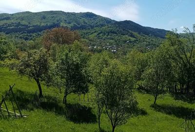 Vand casa ?i teren in Valea Doftanei. - 1