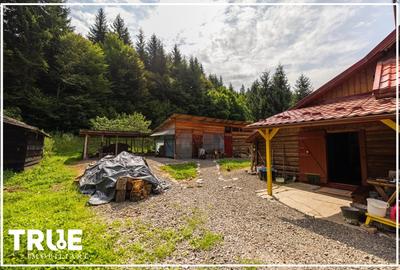 Cabană de vânzare, 95m? utili, teren 1276m?, Sălard! - 19